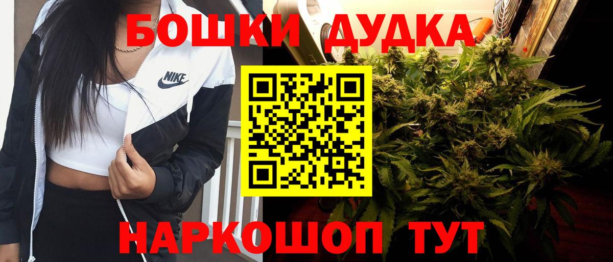 Канабис план Заринск